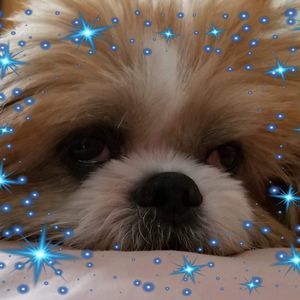 Meet your Posher, Elaine